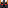 Angry Spotted Wolf Head