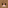 Brown Rabbit Head