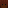 Chestnut Horse Head
