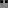 Silverfish Head