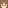 Tabby Cat Head