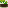 Temperate Zombie Nautilus Shell