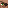 Weaponsmith Villager Head