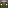 Zombie Armorer Head