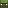 Zombie Nitwit Head